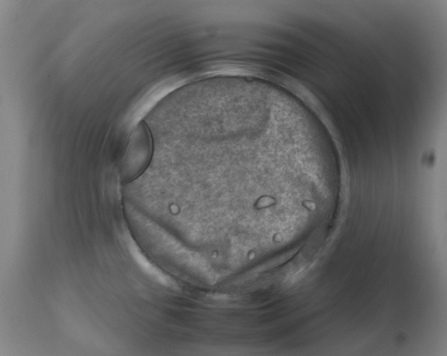 X0000112771433200909171302