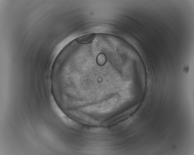 X0000112771434200909171302