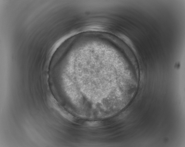 X0000112771435200909171302