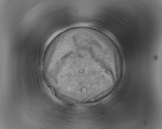 X0000112771436200909171302