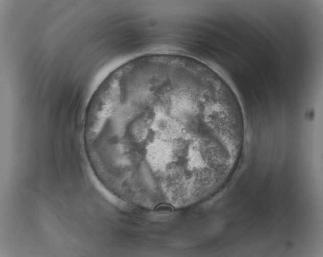 X0000112771437200909171302