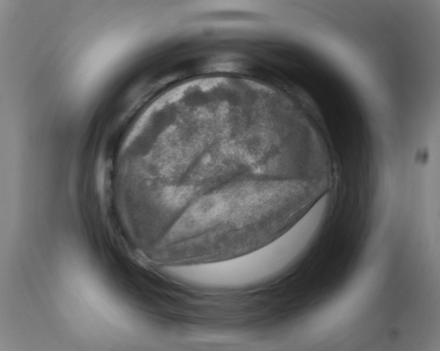 X0000112771438200909171302