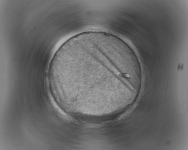 X0000112771440200909171302