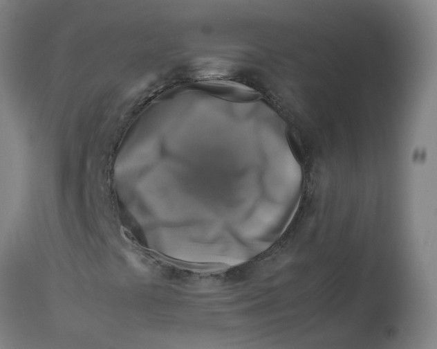 X0000112771441200909171302