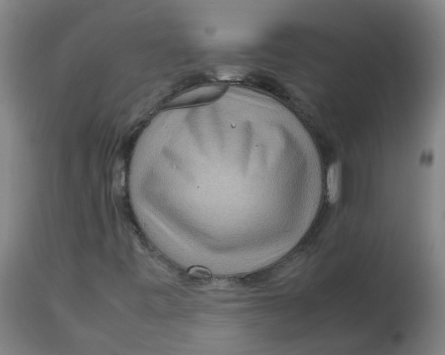 X0000112771443200909171302