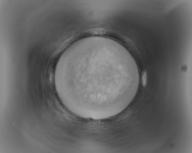 X0000112771444200909171302