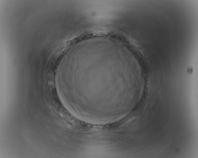 X0000112771445200909171302