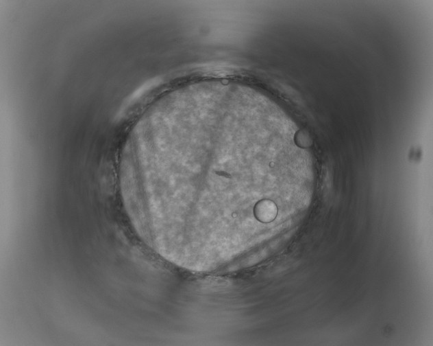 X0000112771446200909171302