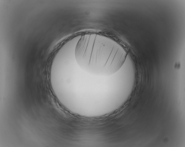 X0000112771448200909171302