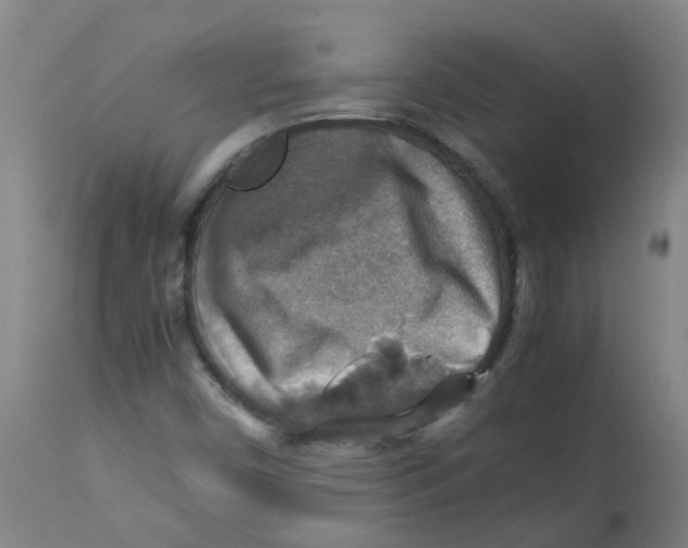 X0000112771450200909171302