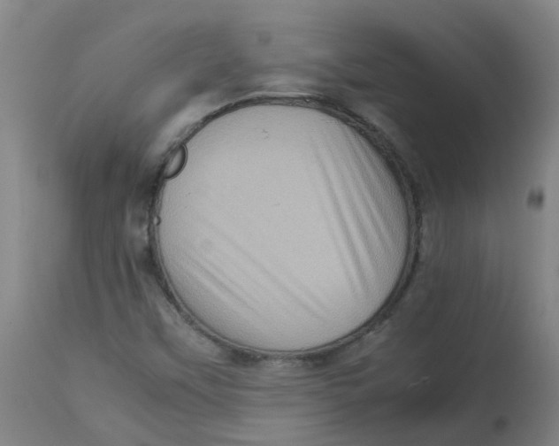 X0000112771451200909171302