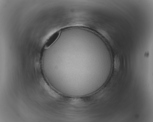 X0000112771452200909171302