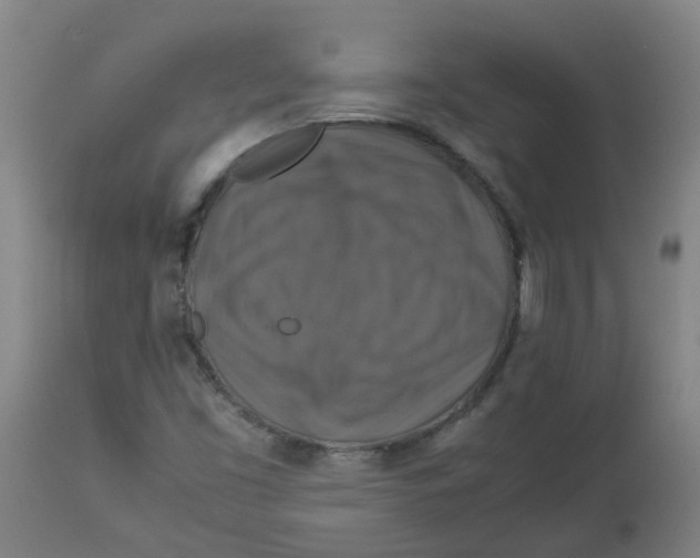 X0000112771453200909171302