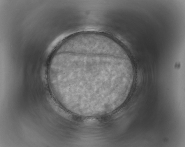 X0000112771454200909171302