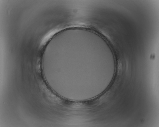 X0000112771455200909171302