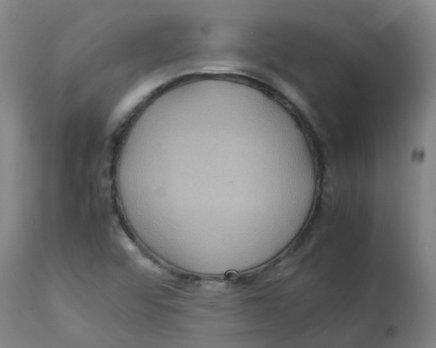 X0000112771456200909171302