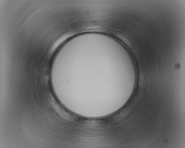 X0000112771458200909171302