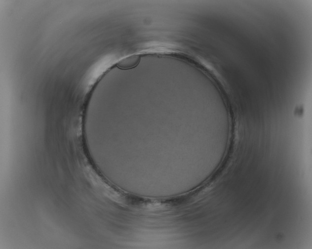 X0000112771459200909171302