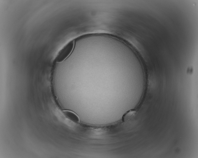 X0000112771460200909171302