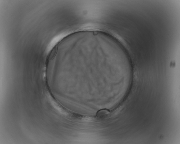 X0000112771461200909171302