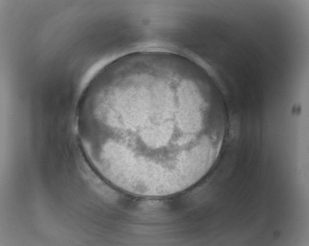 X0000112771462200909171301