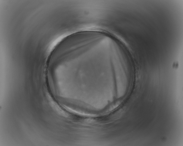 X0000112771463200909171301