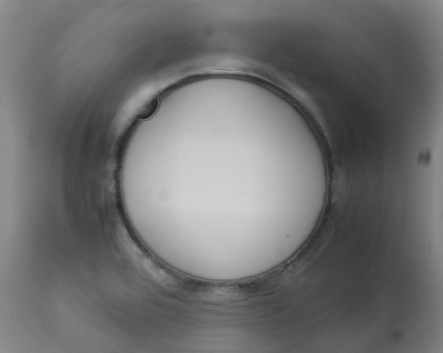 X0000112771464200909171301