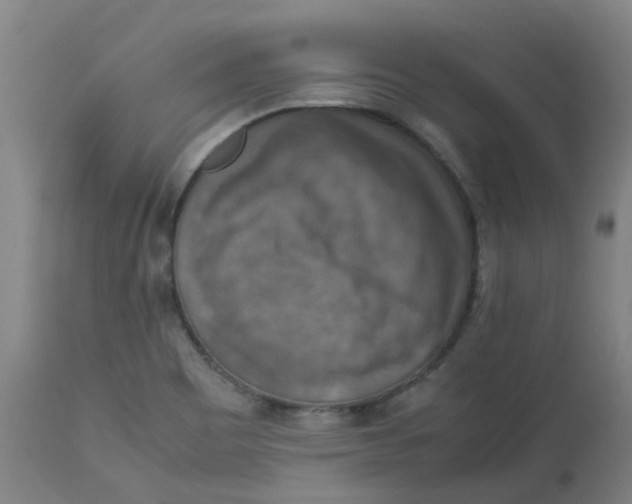 X0000112771465200909171301