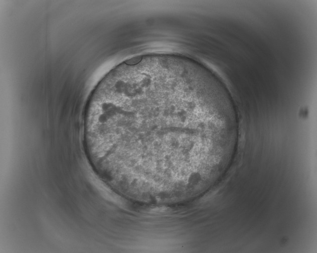 X0000112771467200909171301