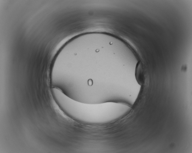 X0000112771468200909171301