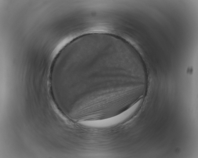 X0000112771469200909171301