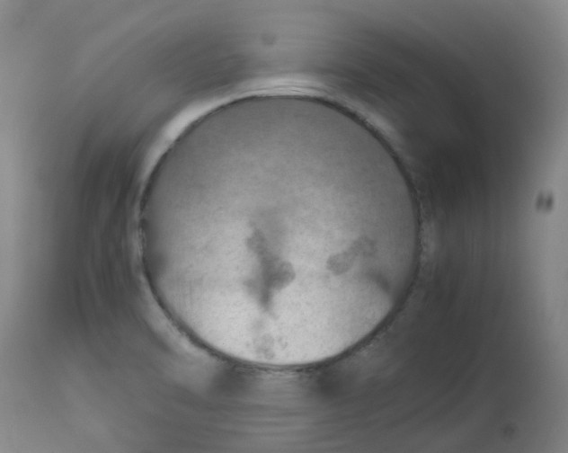 X0000112771470200909171301