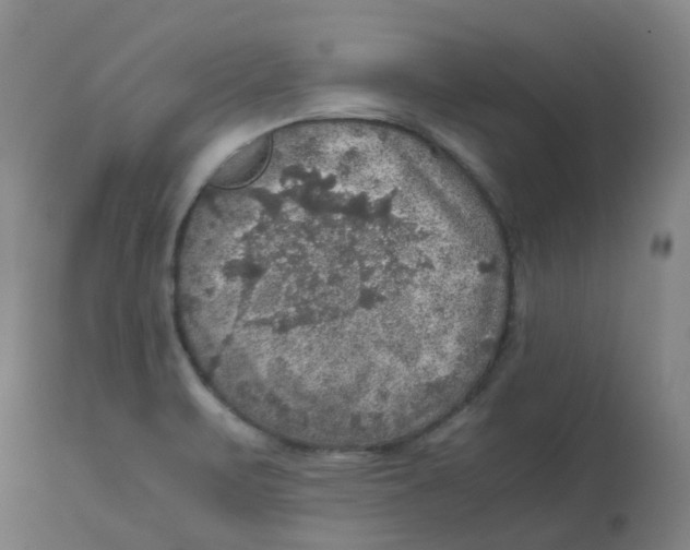 X0000112771471200909171301