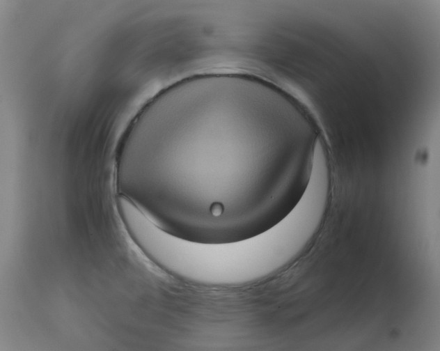 X0000112771472200909171301