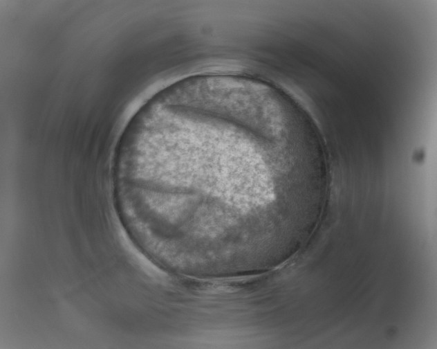 X0000112771475200909171301