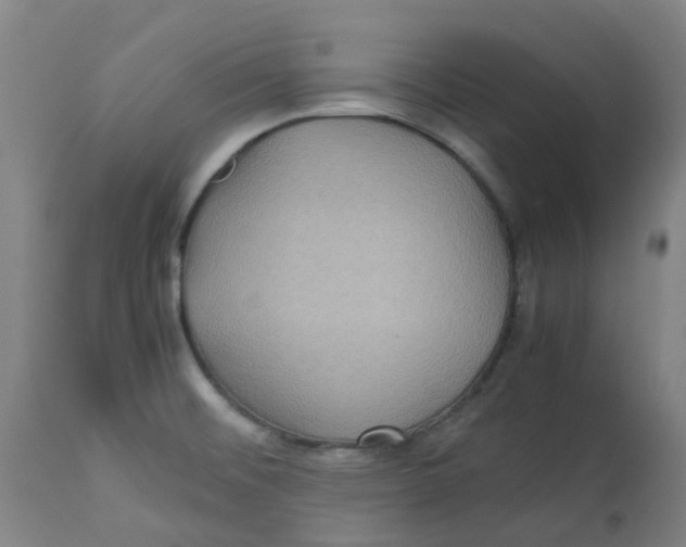 X0000112771476200909171301