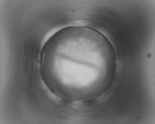 X0000112771477200909171301