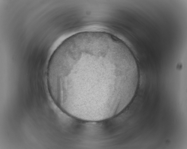 X0000112771478200909171301