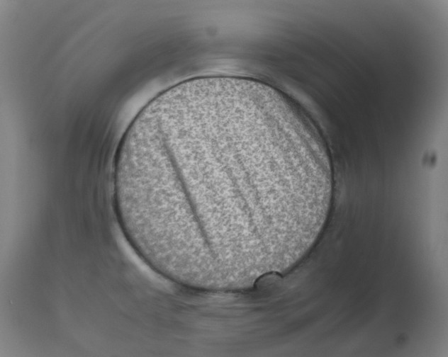 X0000112771479200909171301