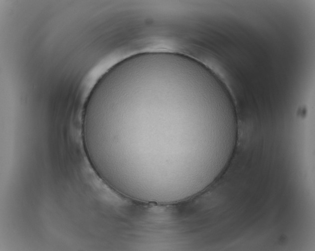 X0000112771480200909171301