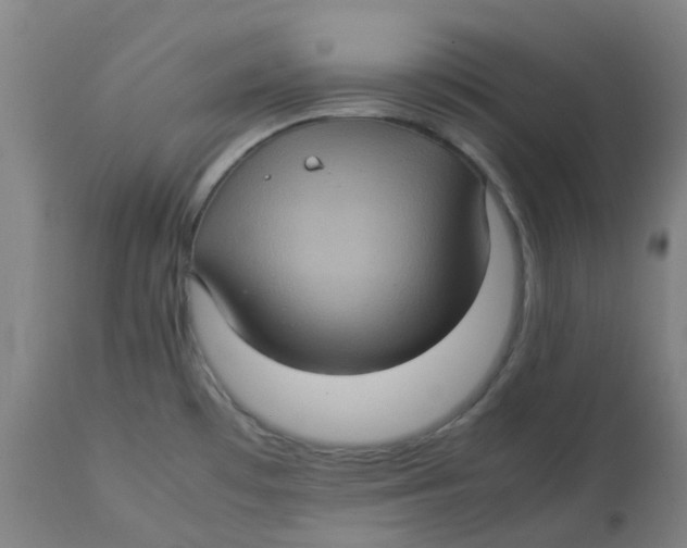 X0000112771481200909171301