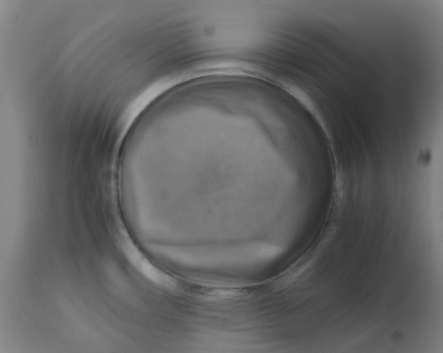 X0000112771482200909171301