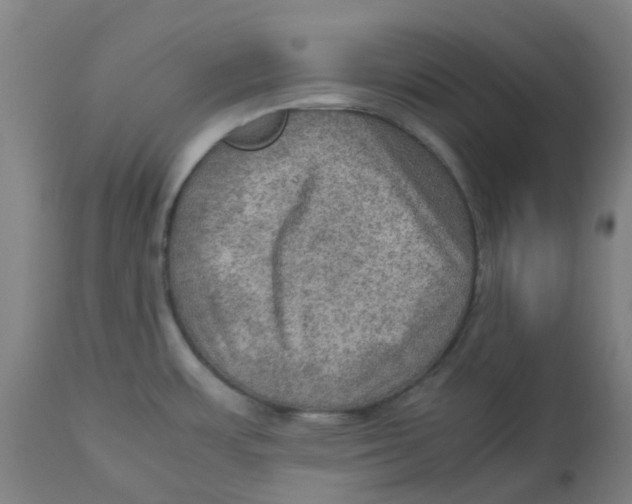 X0000112771483200909171301