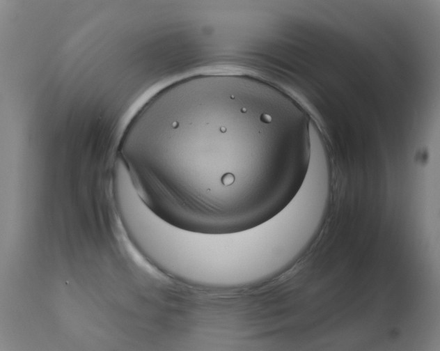 X0000112771484200909171301