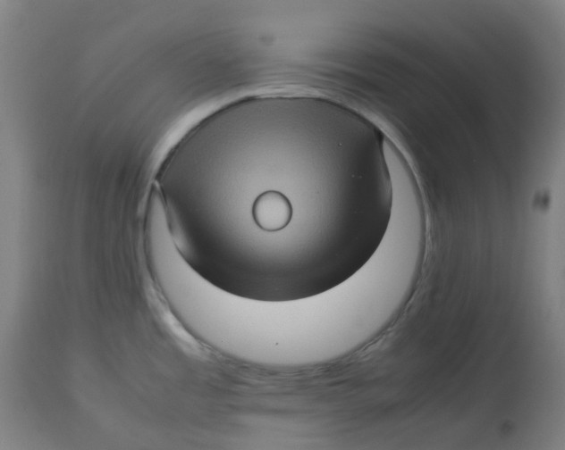 X0000112771485200909171301