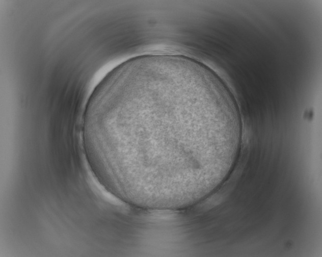 X0000112771486200909171301