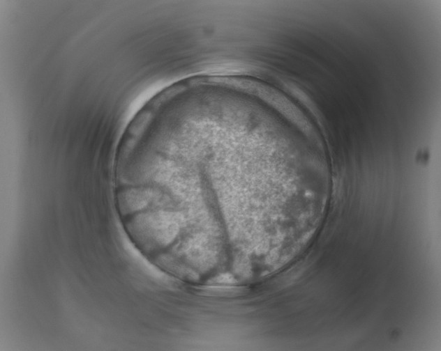 X0000112771487200909171301