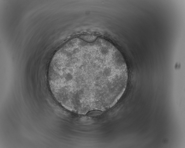 X0000112771489200909171300