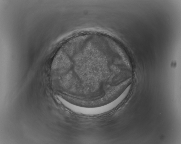 X0000112771494200909171301