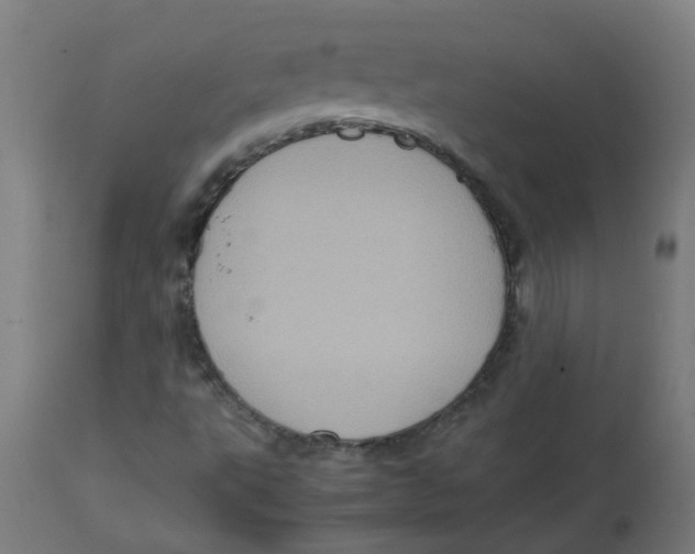 X0000112771495200909171301